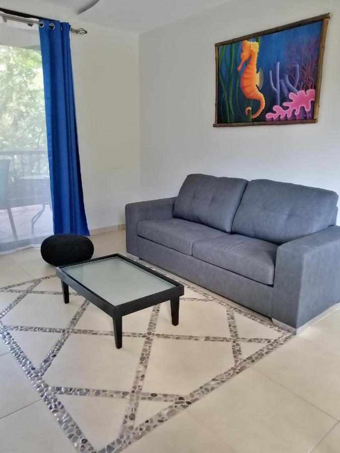 Garza Tigre Apartamentos Cobano Kültér fotó